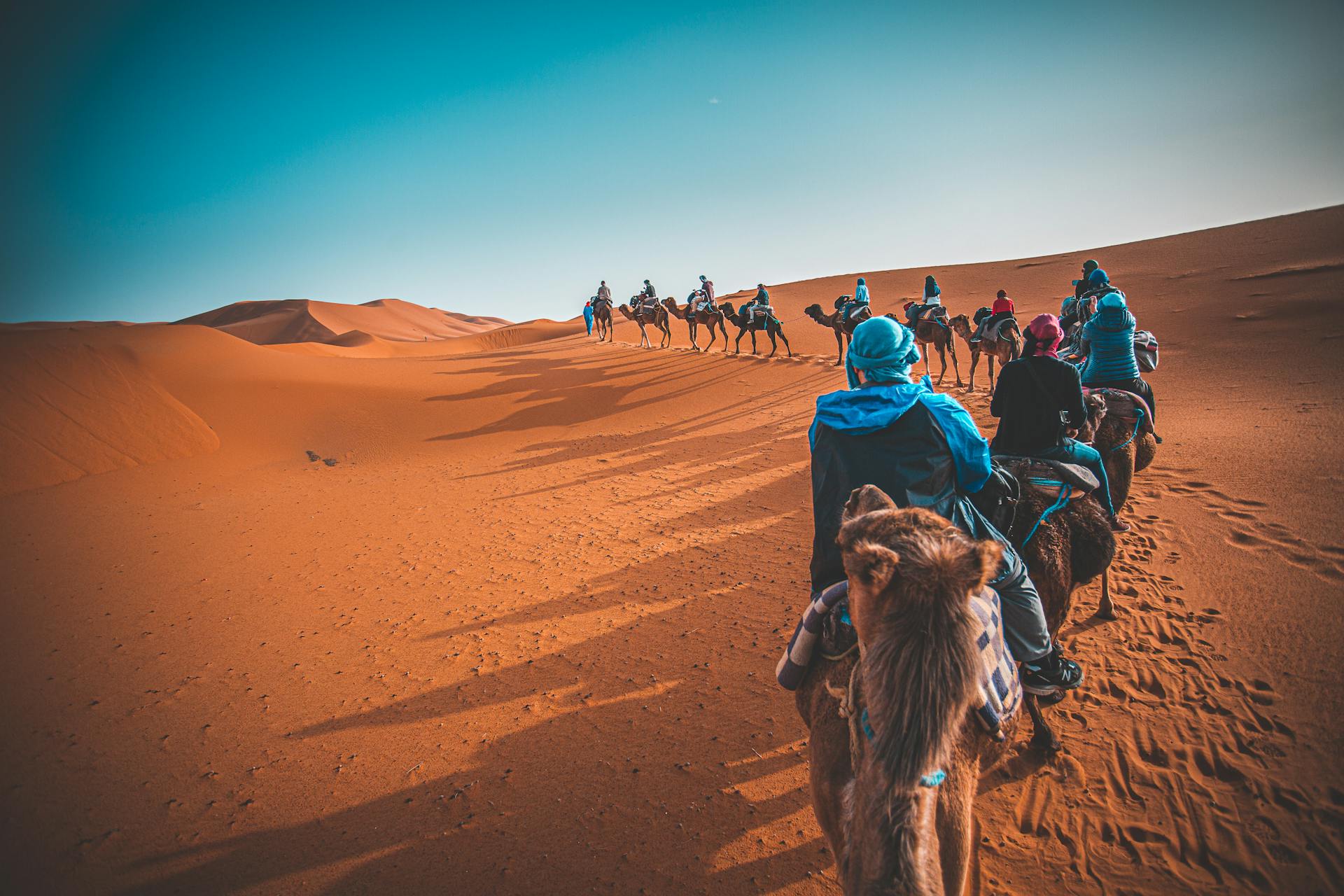 Desert Camel Trek