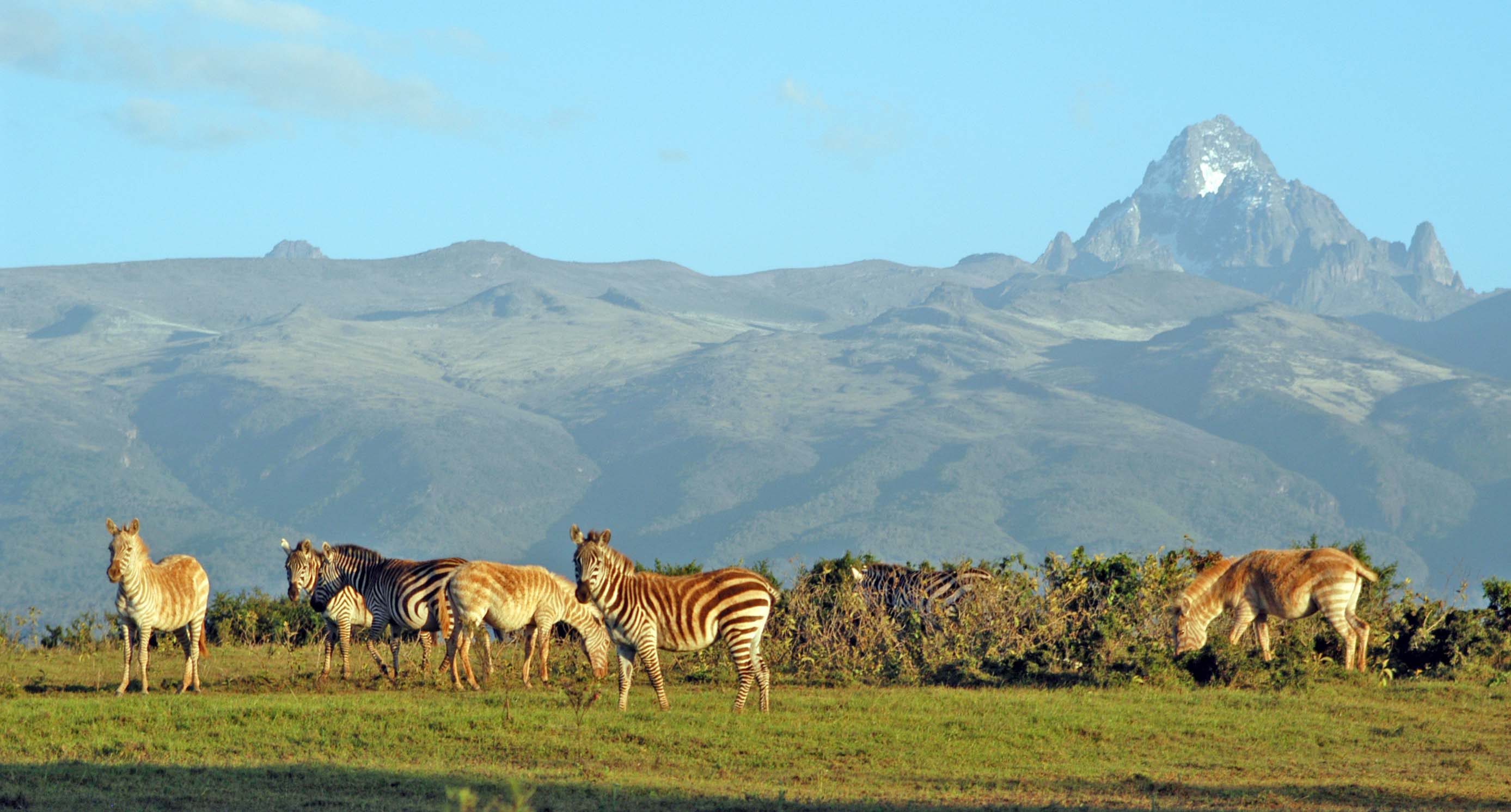 Mount Kenya & Maasai Mara