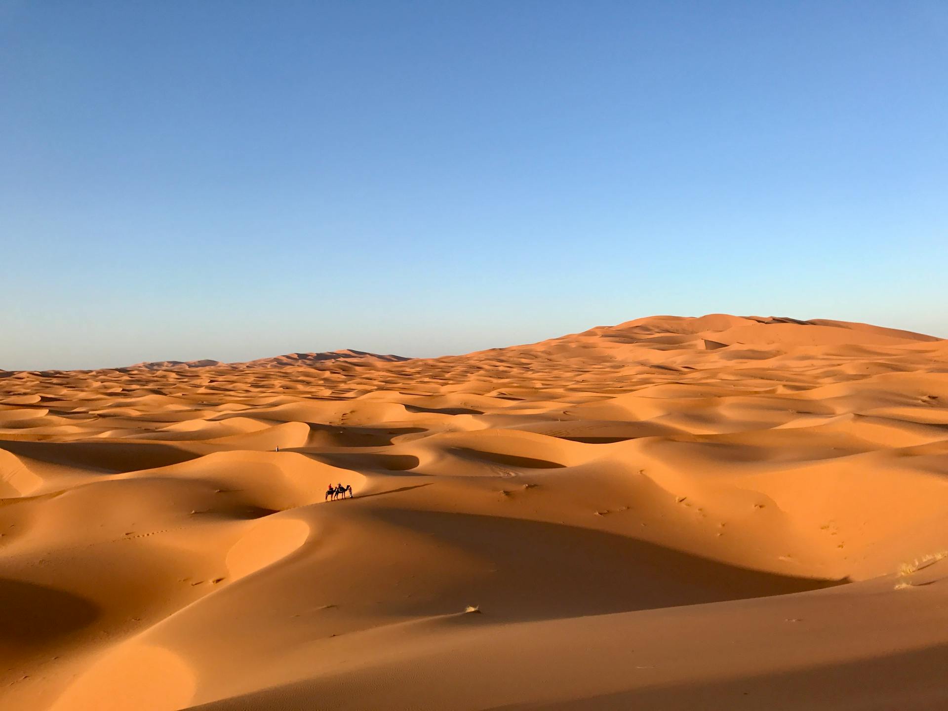 sahara