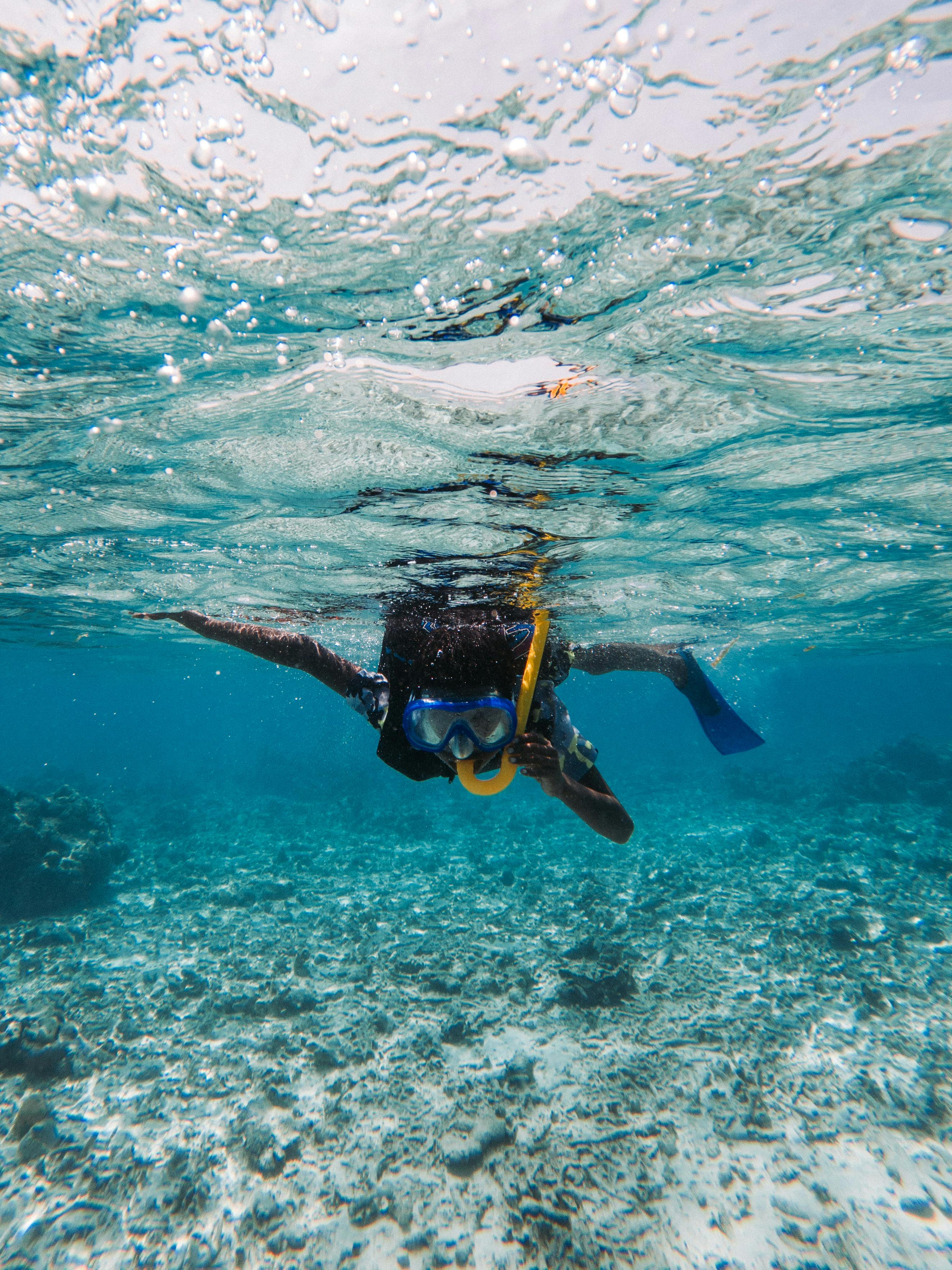 Snorkeling photo 3