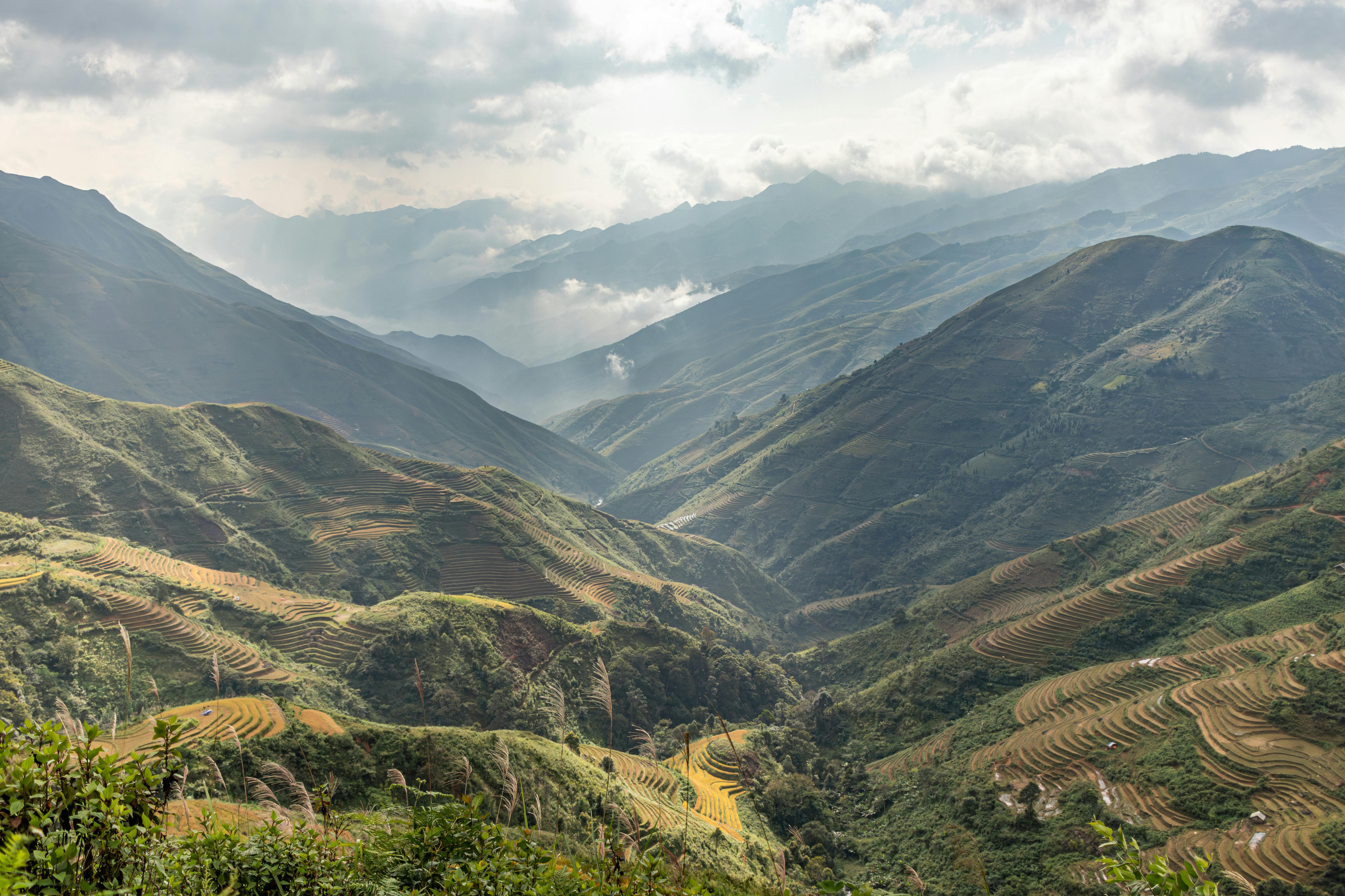 Tailored Safaris photo 2