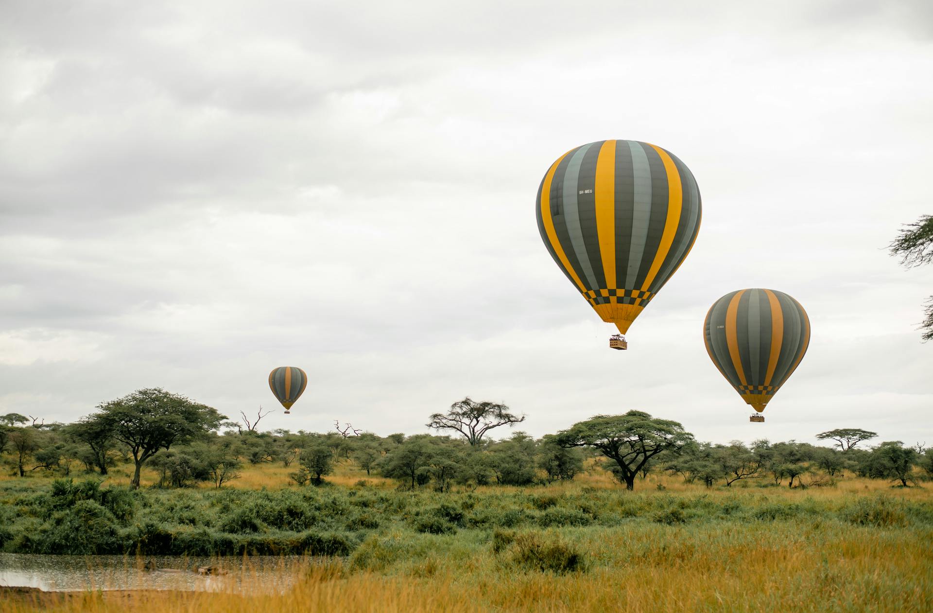 Safari Balloon