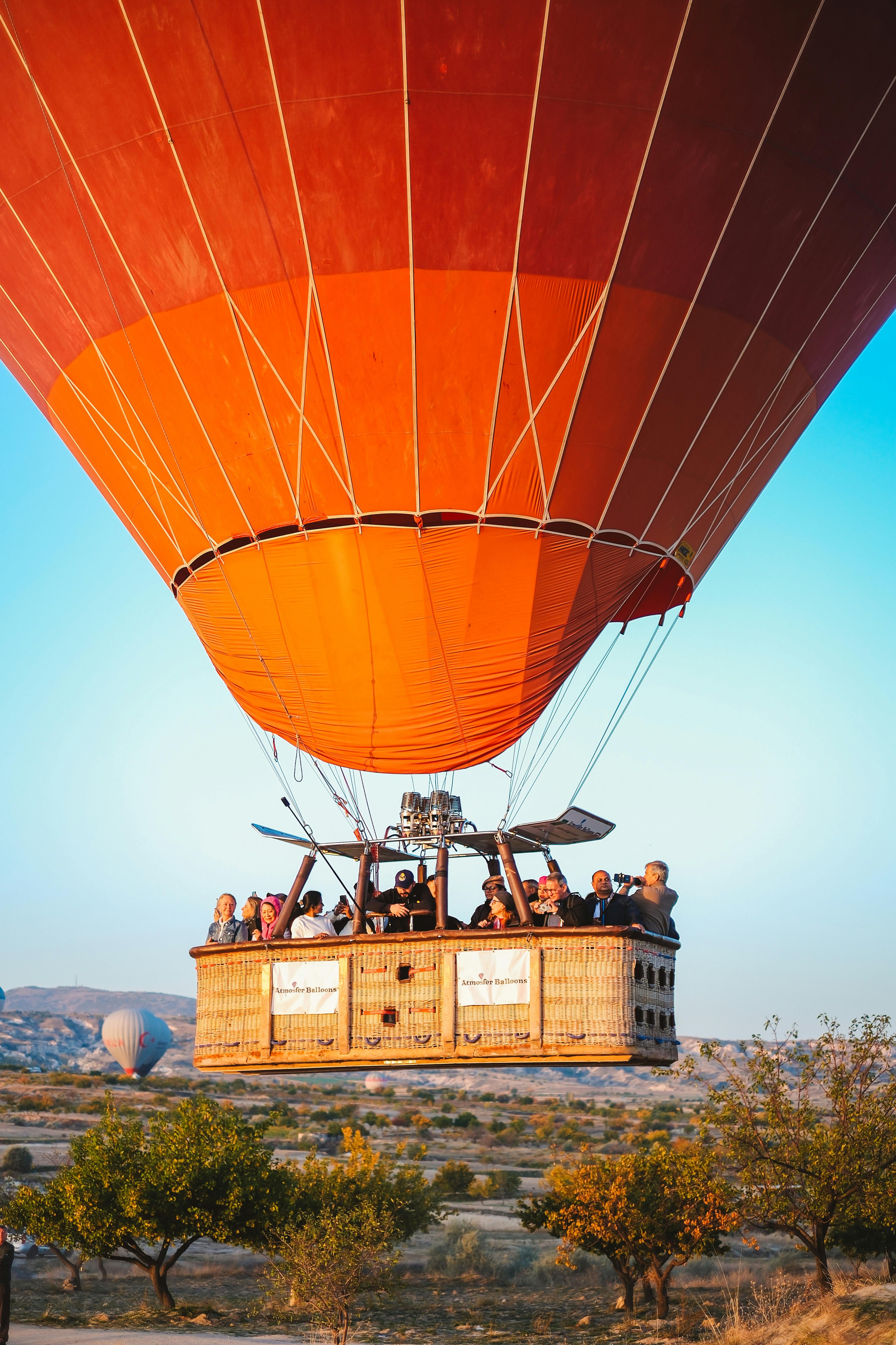 Wildlife Treks & Drives photo 2