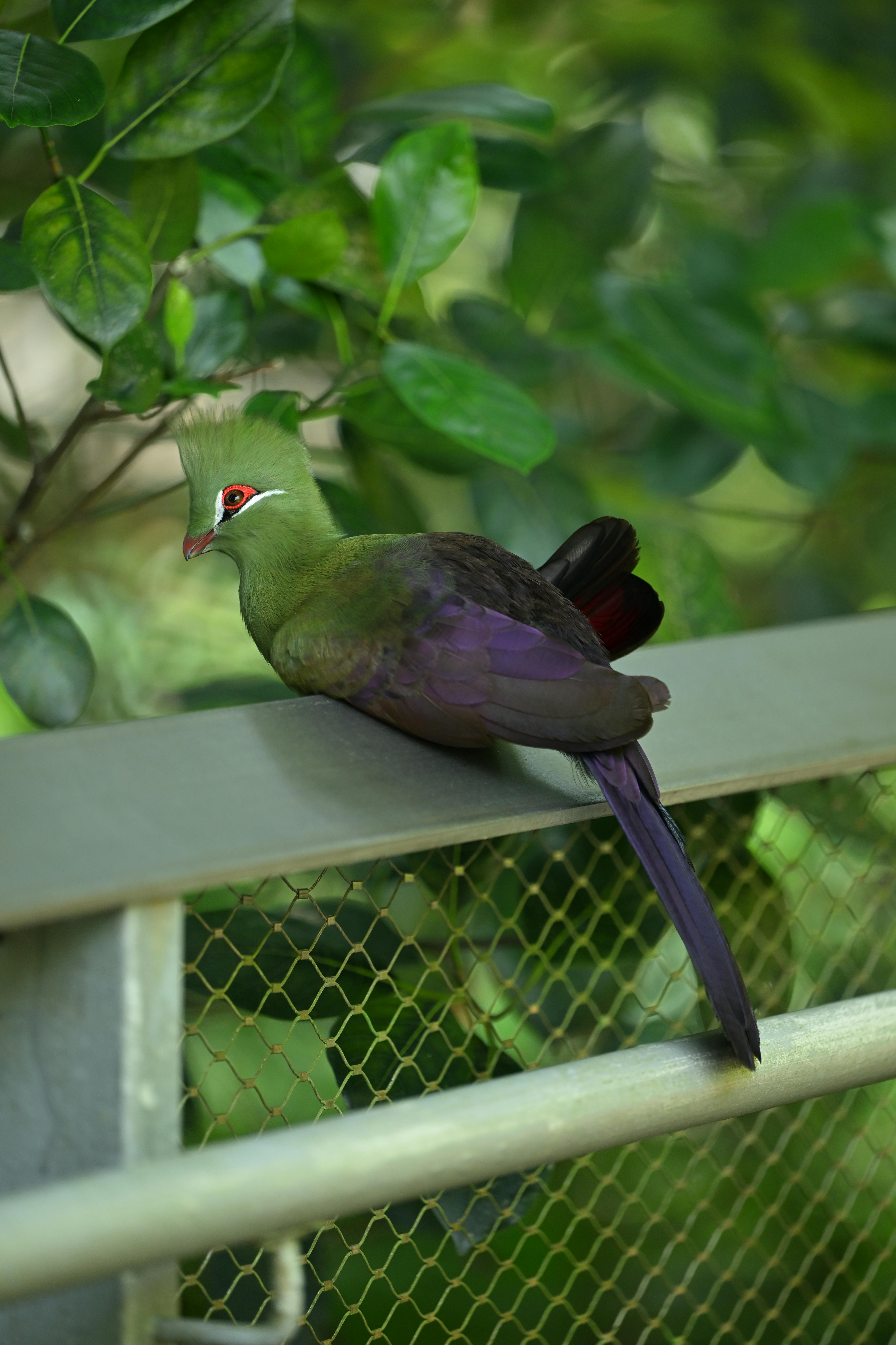 Bird Watching photo 1