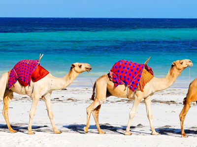 Zanzibar Beach Holiday