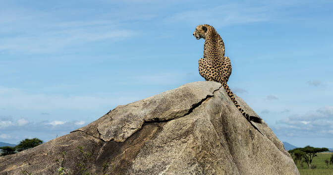 Serengeti National Park